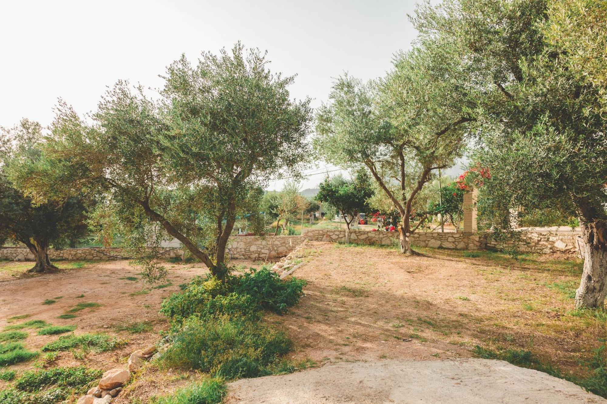 Olive Camping Himara Kültér fotó