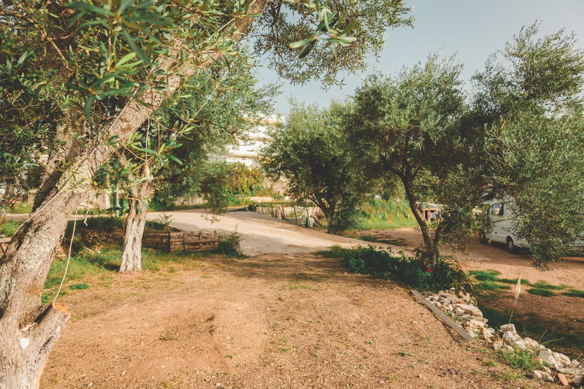 Olive Camping Himara Kültér fotó