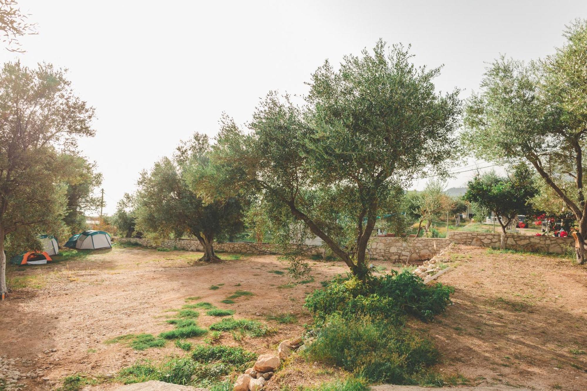 Olive Camping Himara Kültér fotó